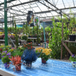 Nappe chauffante horticole – Image 3